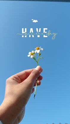 a hand holding a flower with the words have always written above it in front of a blue sky