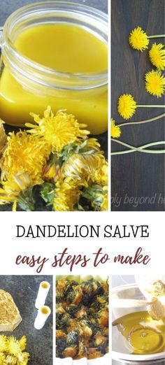 dandelion salve easy steps to make