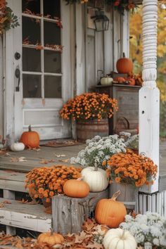 pumpkins and gourds are on the porch