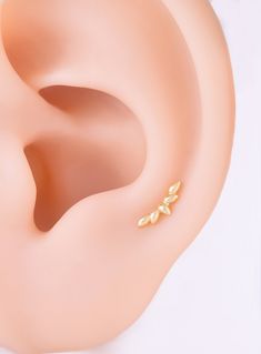 a pair of gold ear studs on top of a fake human's ear