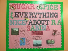 a pink and green sign with pictures on it that says sugar spice everything nice about r & b sabiana