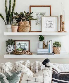 a living room filled with lots of furniture and plants on top of white shelving