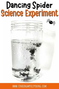 a jar filled with water and bugs on top of it is text reading, dancing spider science experiment