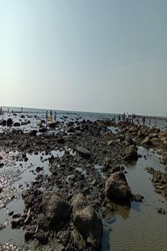 people are standing on the rocks at the beach