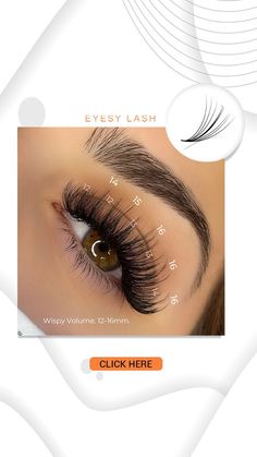 Kim K Lash Extensions Map, Lashes Kim Effect, Kim K Lash Extensions, Wispy Lash Extensions Mapping, Types Of Eyelash Extensions Styles, Hybrid Lash Map, Kim K Lashes, Eye Lash Extensions Styles, Fluffy Lash Extensions