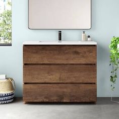 a bathroom vanity with a mirror above it and a potted plant next to it