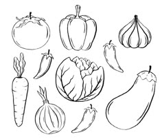 a set of vegetables drawn in black and white on a white background, including carrots, onions, peppers, squash, garlic, eggplant