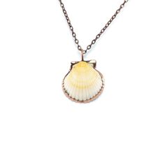 This listing is for the copper electroformed Scallop Seashell necklace pictured above. pure copper around a beautiful real scallop seashell. All our work is sealed with a skin-safe protection to delay the natural oxidization of metals, ensuring that your purchase looks as vibrant as the day it was crafted. All pieces are created by us in our shop, and come with a hand-stamped organic cotton jewelry bag & jewelry box, for safe storage or gift giving. Scallop Seashell, Necklace Seashell, Sea Shell Necklace, Silver Wrapping Paper, Coquille Saint Jacques, Cotton Jewelry, Seashell Pendants, Jewelry Real, Seashell Jewelry