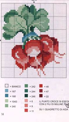 a cross stitch pattern with an image of a plant on the front and back side