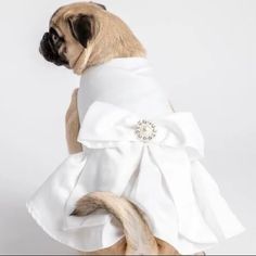 a pug dog dressed in a white dress with a bow on it's back