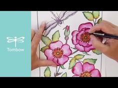 someone is drawing flowers with colored pencils on a sheet of paper that has a dragonfly sitting on top of it