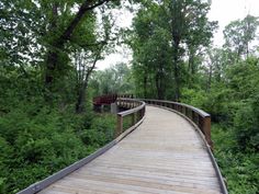 a wooden walkway in the middle of a forest with trees and bushes around it, leading to a bridge