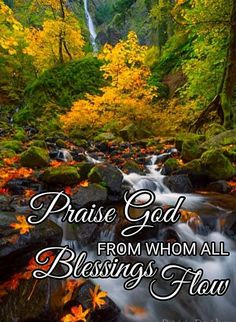 a stream in the middle of a forest with trees and leaves around it that reads praise god from whom all blessing flow