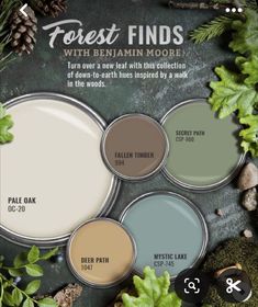 the forest finds paint palettes are available for purchase