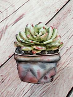 a potted plant sitting on top of a wooden table