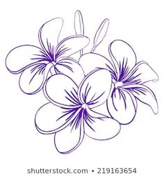 purple flowers on a white background