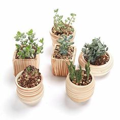 four wooden planters filled with succulents and rocks on a white surface