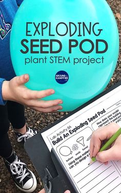 Seed Dispersal Activity, Life Science Experiments, Life Cycle Of Plants, Second Grade Science, Seed Dispersal, Lab Activities, Third Grade Science, 6th Grade Science, Science Activity