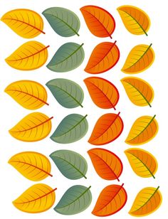 several different colored leaves on a white background