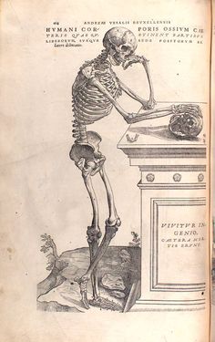 a skeleton is standing at a sink in an old book