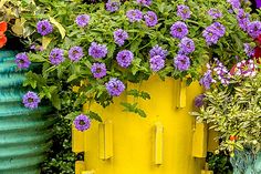 several different colored vases with flowers in them