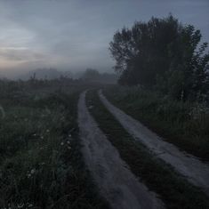 a dirt road in the middle of a grassy field