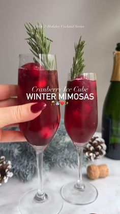 Cranberry Ice Cube Mimosas - Place 3-4 cranberries in to the ice cube mold - Fill the tray with half cranberry juice and I like to top my up with a bit of cranberry concentrate so it's more tart than sweet. Make sure the ice cubes can fit in your champagne glasses! This one has caught be off guard before😂 - Pour your favourite champagne or sparkling wine over the ice. - Garnish with rosemary sprig Holiday Mimosas, Cranberry Ice, Cranberry Mimosa, Xmas Drinks, Juice Ice Cubes, Yummy Alcoholic Drinks, Fancy Drinks, Festive Drinks