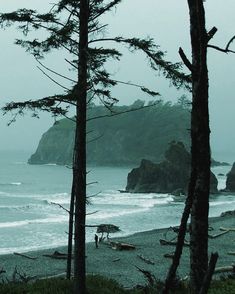 some trees and water on a foggy day at the beach with people in it