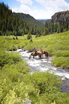 two people on horses crossing a stream in the mountains