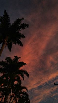 the sun is setting behind palm trees and telephone poles in front of a cloudy sky