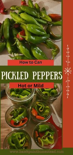 pickled peppers in small glass jars on a table with red and green trimmings