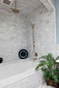 a bath room with a tub and a plant