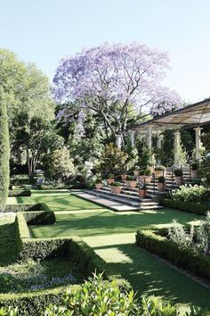 an image of a beautiful garden with lots of trees and plants in it, on instagram