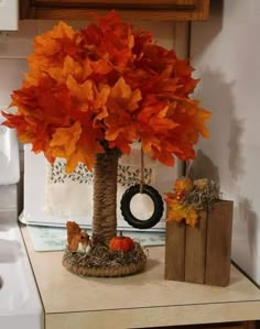 an orange tree in a basket on top of a counter