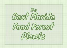 the best florida food forest plants on a sheet of paper with text overlaying it