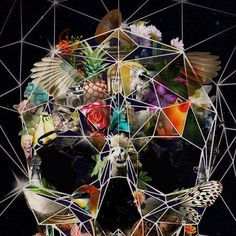 a collage of birds, flowers and other things in the shape of a skull