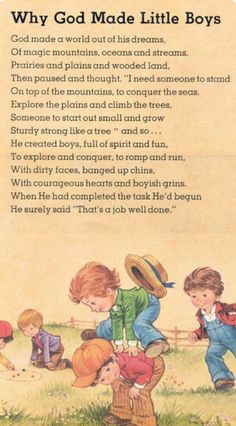 an old children's book with the title why god made little boys