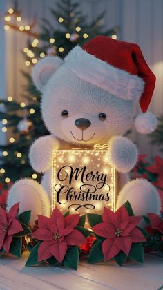 a white teddy bear sitting on top of a table next to christmas lights and poinsettis