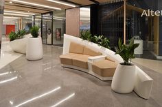 an office lobby with curved couches and potted plants