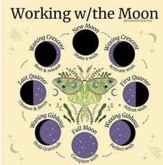 Moon Manifesting, Moon Sisters, Lunar Witch, The Cauldron, Eclectic Witch, Witch Spell Book, Phases Of The Moon