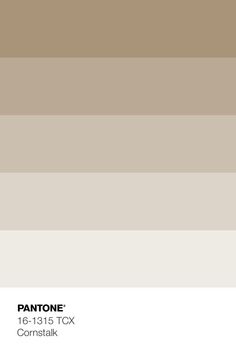 pantone's color swatches for the new york city subway station in beige and brown