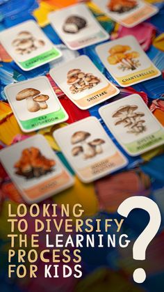 looking to diversy the learning process for kids? book cover with pictures of mushrooms