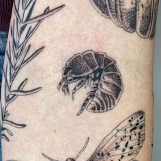 a close up of a person's arm with tattoos on it, including moths and pine needles