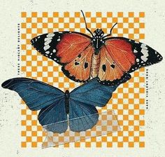 two butterflies sitting on top of each other in front of a checkerboard background