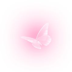 a white butterfly flying in the air on a pink and white background with space for text