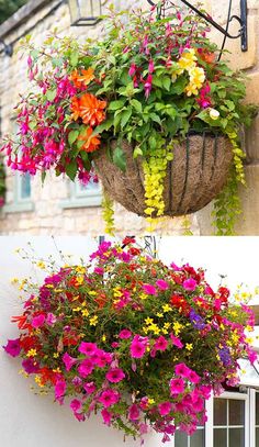 two hanging baskets filled with colorful flowers on the side of a building next to each other