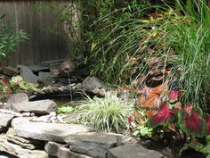 a garden with rocks, plants and water features in the foreground as well as a wooden fence