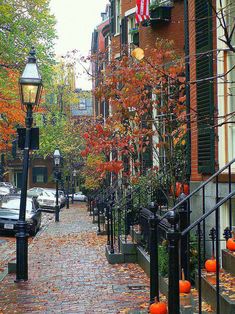 an autumn scene with leaves on the ground and pumpkins in the trees along the sidewalk