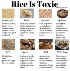 Rice Replacement, Sebi Recipes, Dr Sebi Alkaline Food, Dr Sebi Recipes, Dr Sebi Alkaline, Alkaline Diet Recipes, Healthy Nuts, Food Health Benefits, Health Class