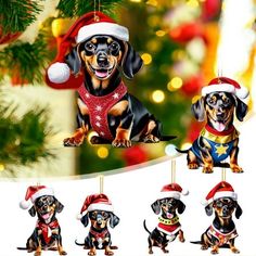 a christmas ornament with three dachshunds wearing santa hats